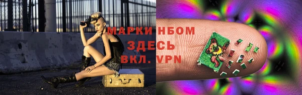 индика Нефтекумск