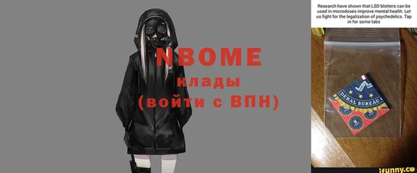 гидра Надым