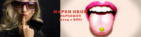 гидра Надым