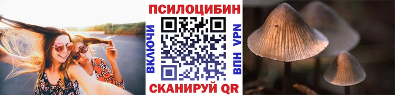 Псилоцибиновые грибы Cubensis  купить закладку  Ивдель 
